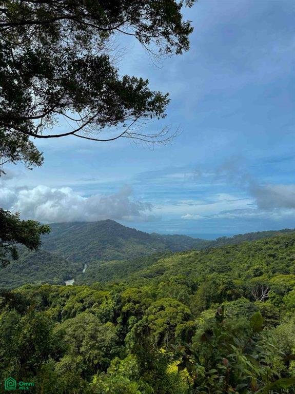 Ocean View Luxury Homesite , Bahía Ballena, Osa, Puntarenas