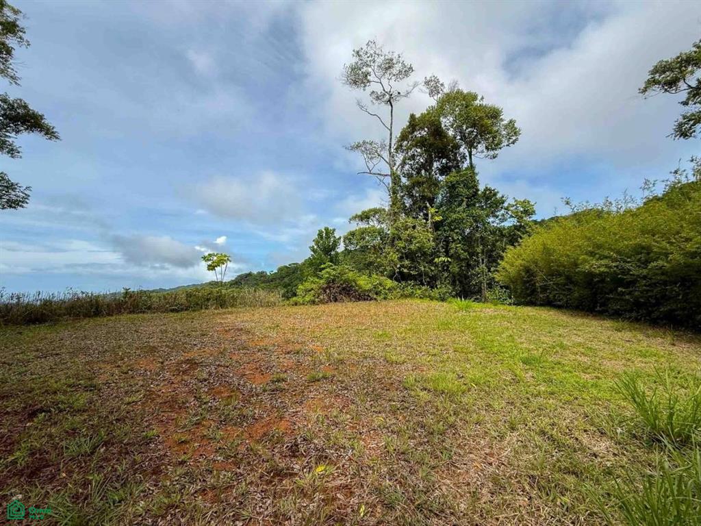 Ocean View Luxury Homesite , Bahía Ballena, Osa, Puntarenas