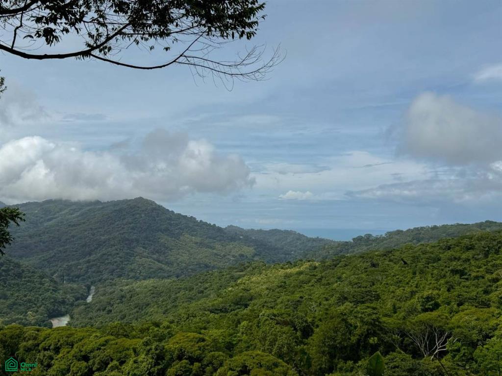 Flat Ocean View Lot in Gated Community , Dominical, Quepos, Puntarenas