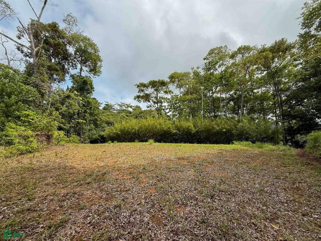 Flat Ocean View Lot in Gated Community , Dominical, Quepos, Puntarenas