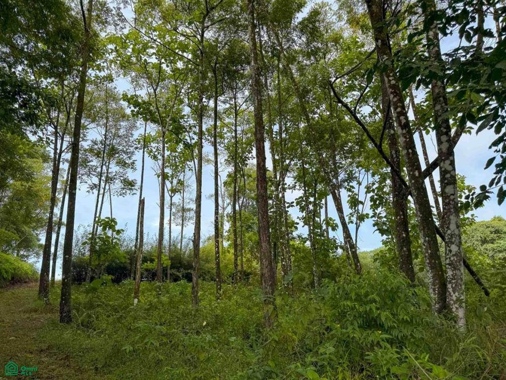 Flat Ocean View Lot in Gated Community , Dominical, Quepos, Puntarenas