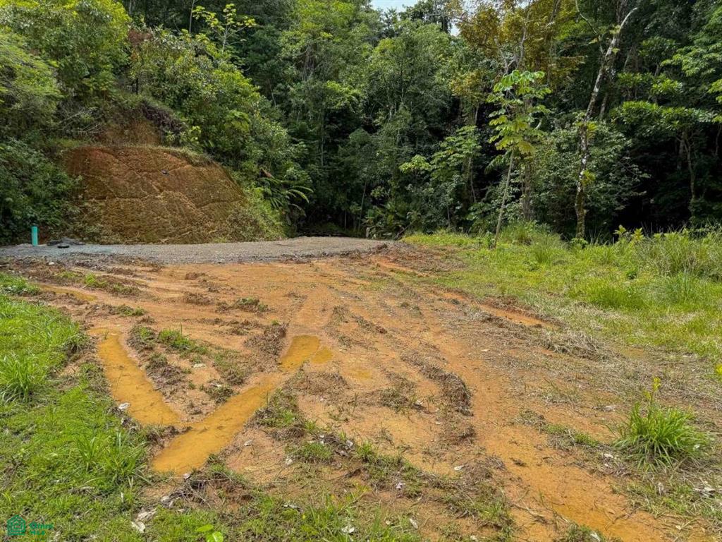 Flat Ocean View Lot in Gated Community , Dominical, Quepos, Puntarenas