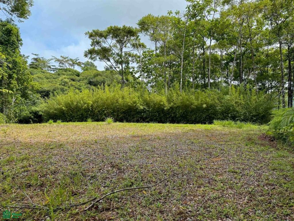Flat Ocean View Lot in Gated Community , Dominical, Quepos, Puntarenas