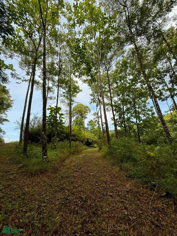 Flat Ocean View Lot in Gated Community , Dominical, Quepos, Puntarenas