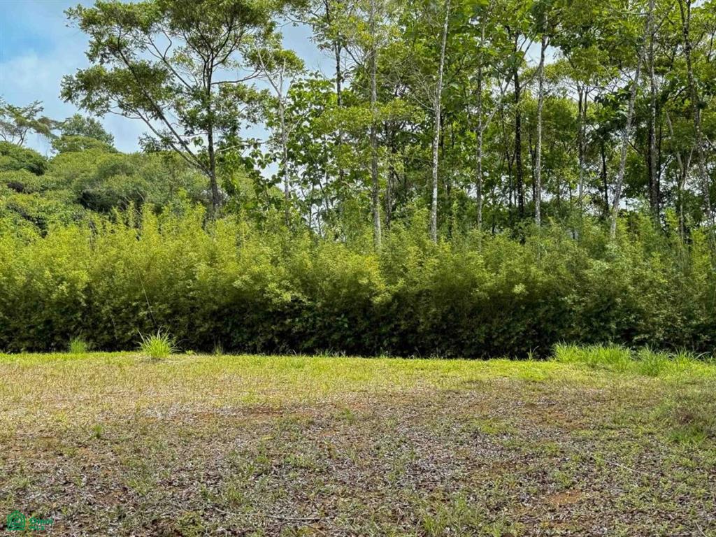 Flat Ocean View Lot in Gated Community , Dominical, Quepos, Puntarenas