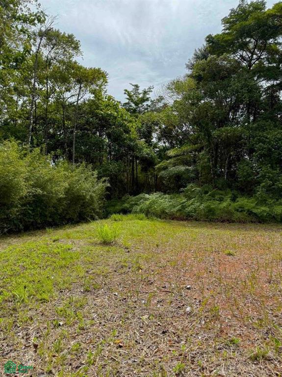 Flat Ocean View Lot in Gated Community , Dominical, Quepos, Puntarenas