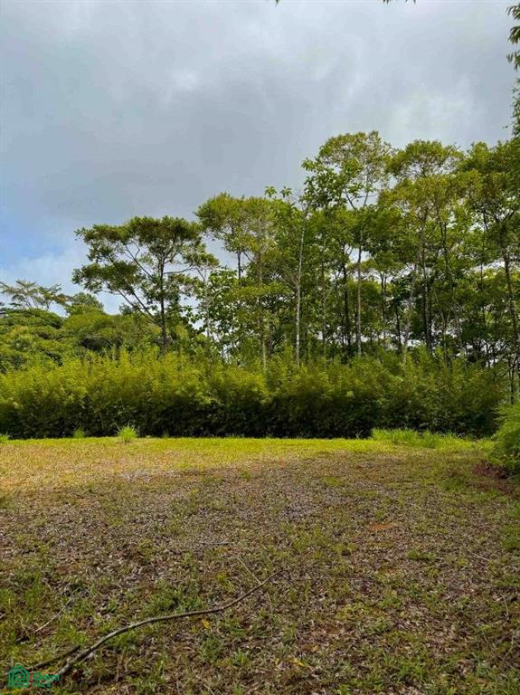 Flat Ocean View Lot in Gated Community , Dominical, Quepos, Puntarenas