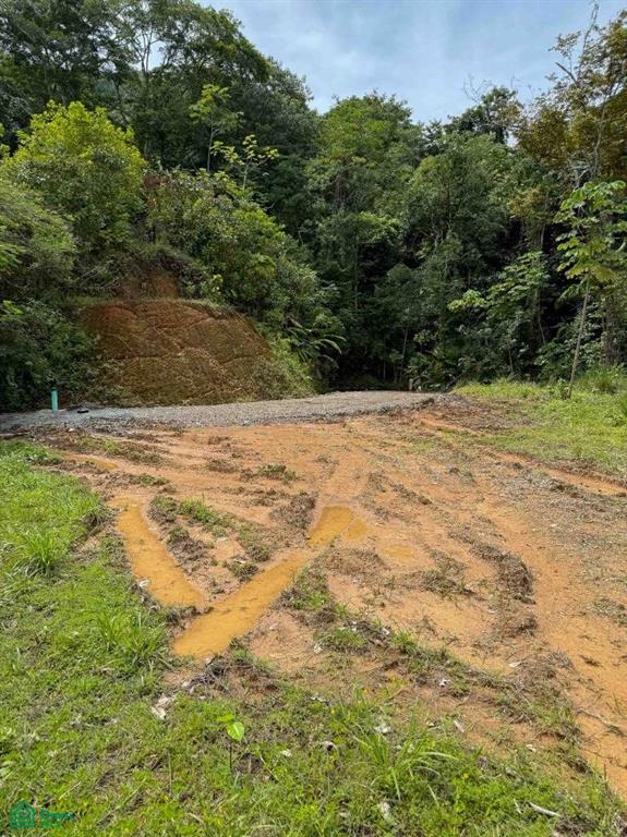 Flat Ocean View Lot in Gated Community , Dominical, Quepos, Puntarenas