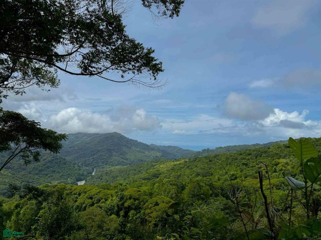 Flat Ocean View Lot in Gated Community , Dominical, Quepos, Puntarenas