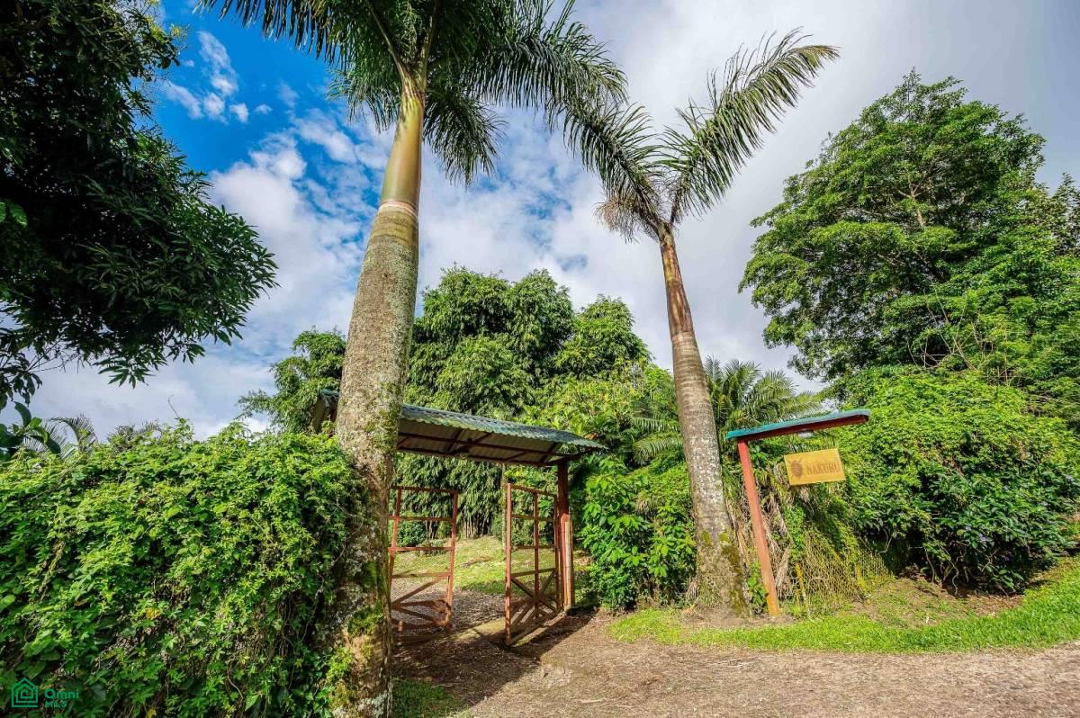 Luxury Lakefront Villa , Arenal, Guanacaste