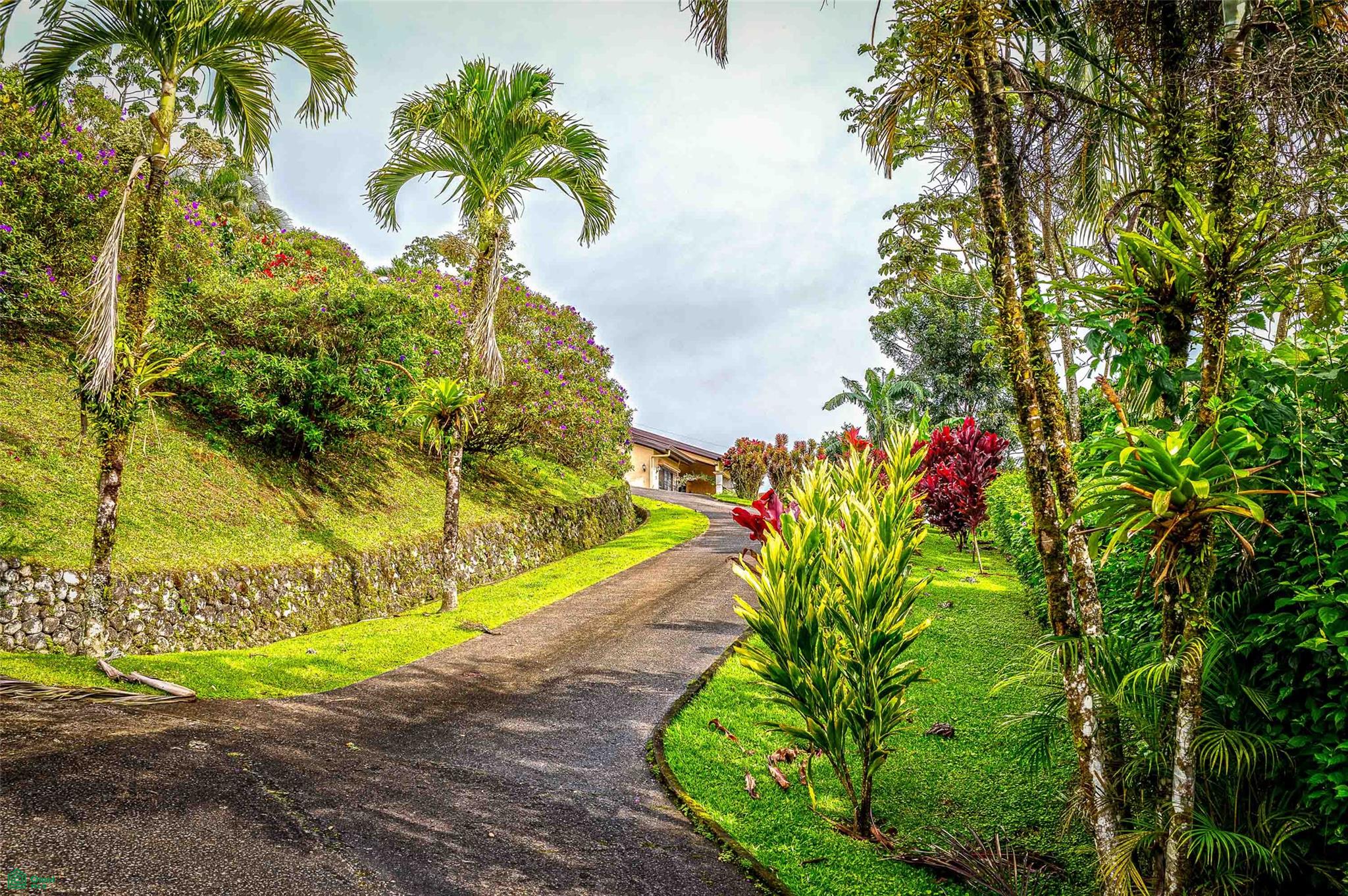 Nuevo Arenal