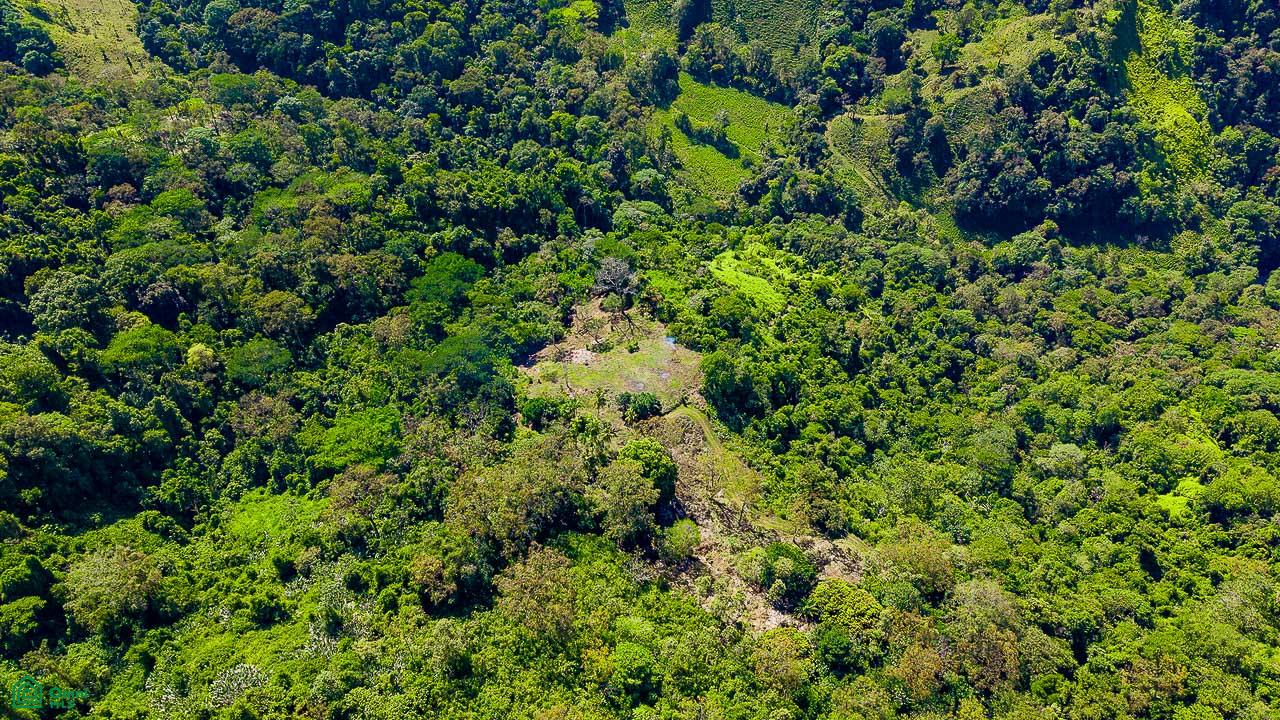 Luxury Waterfall Farm