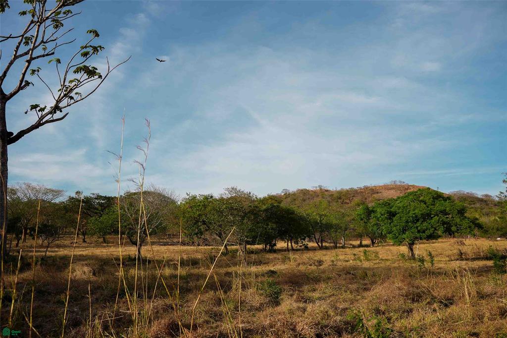 Prime Parcel in a Natural Oasis