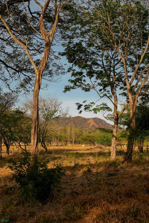 Prime Parcel in a Natural Oasis