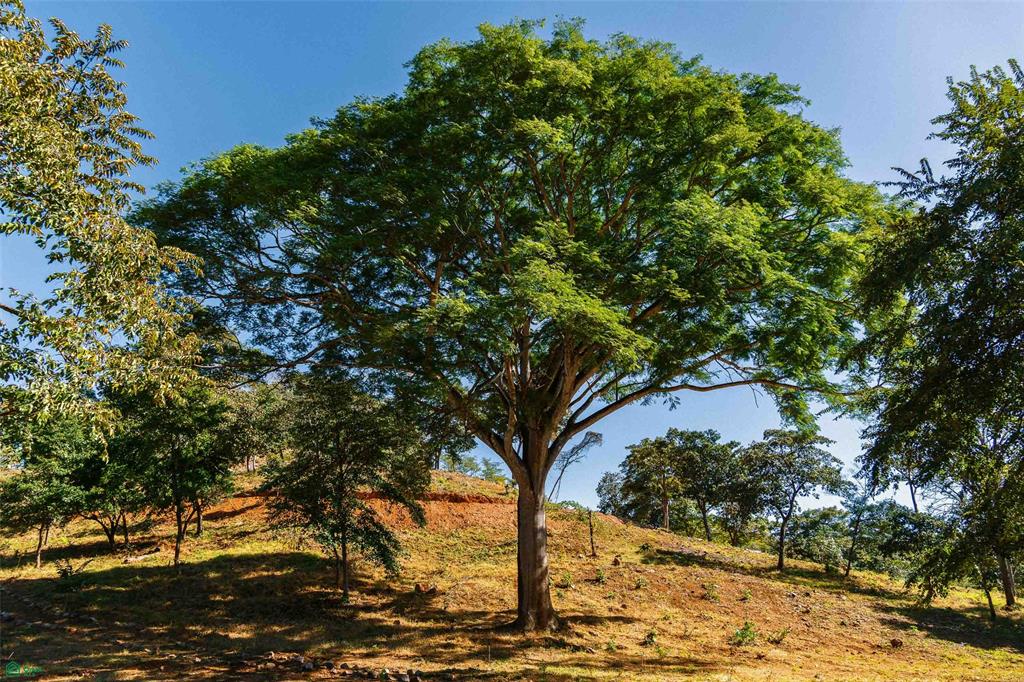 Prime Parcel in a Natural Oasis