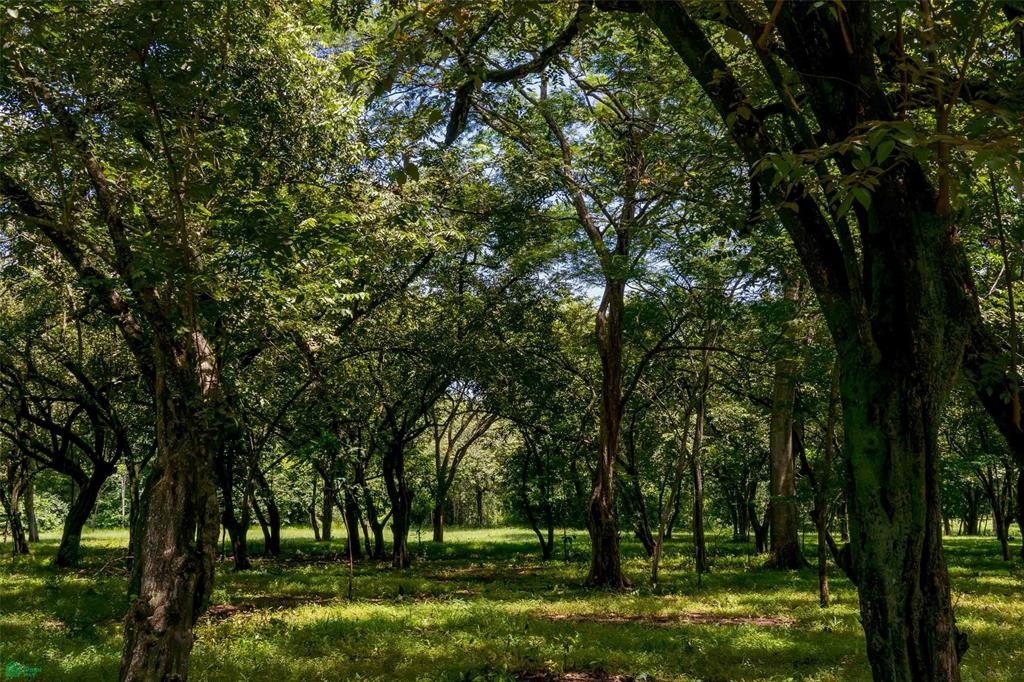 Prime Parcel in a Natural Oasis