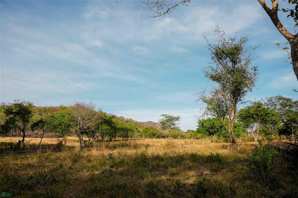 Prime Parcel in a Natural Oasis