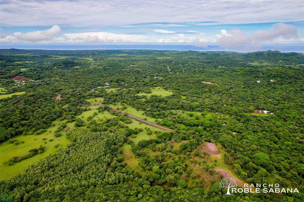 Prime Parcel in a Natural Oasis