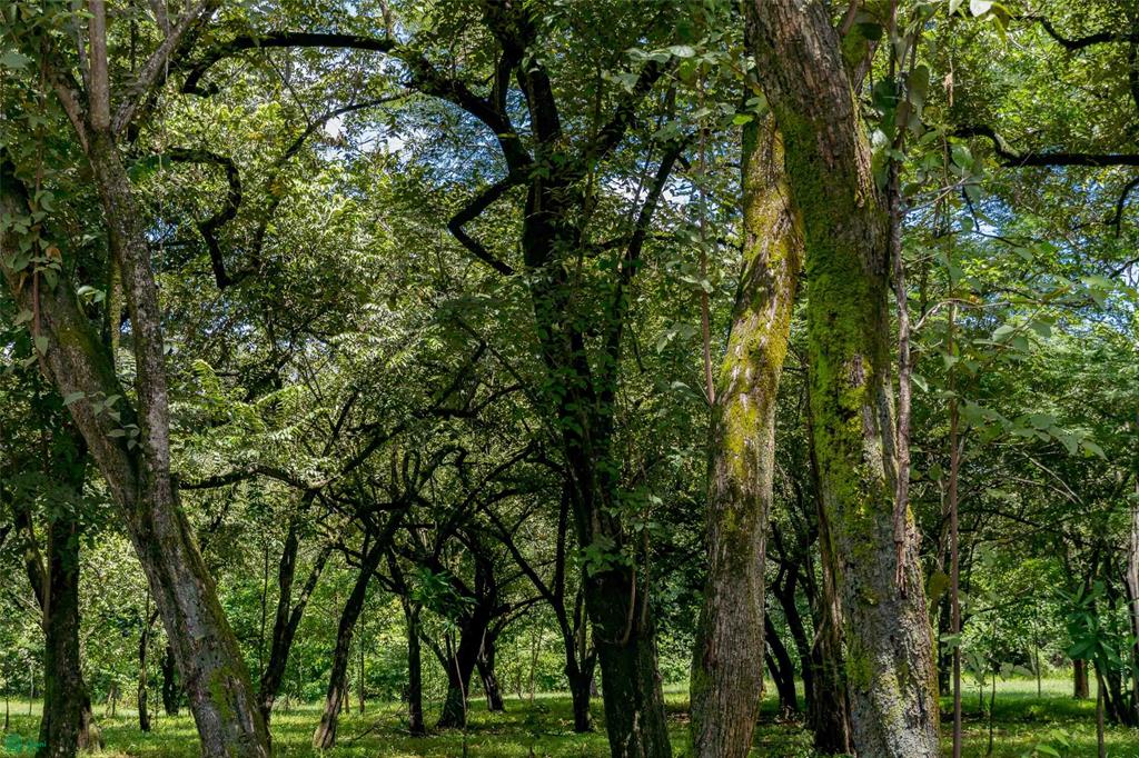 Prime Parcel in a Natural Oasis