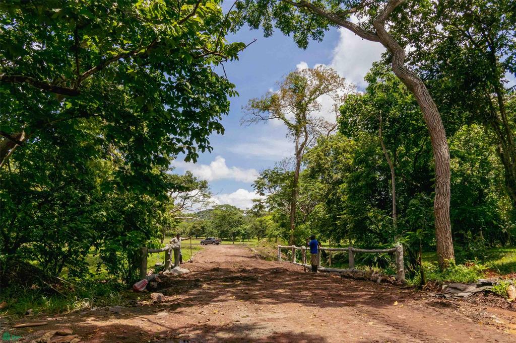 Prime Parcel in a Natural Oasis