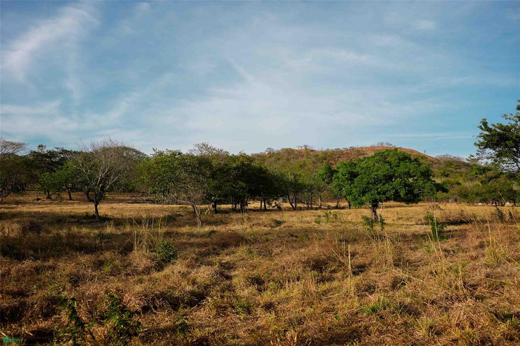 Prime Parcel in a Natural Oasis