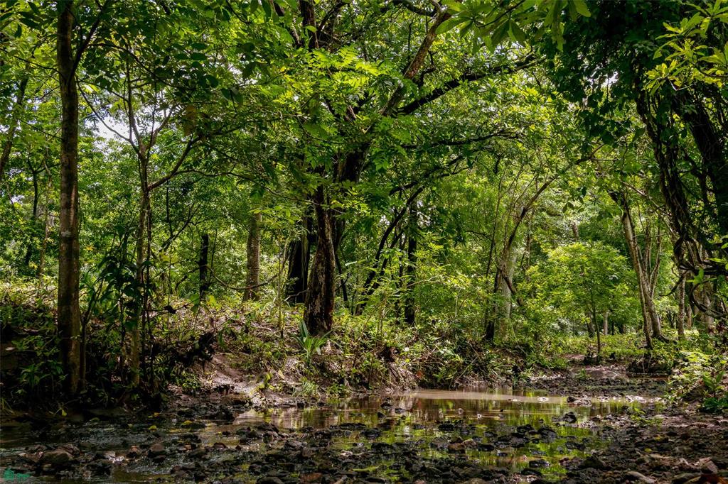 Prime Parcel in a Natural Oasis