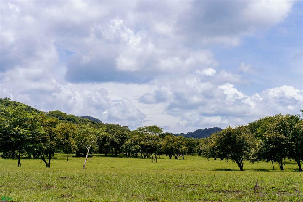 Premium Lot Inside Nature