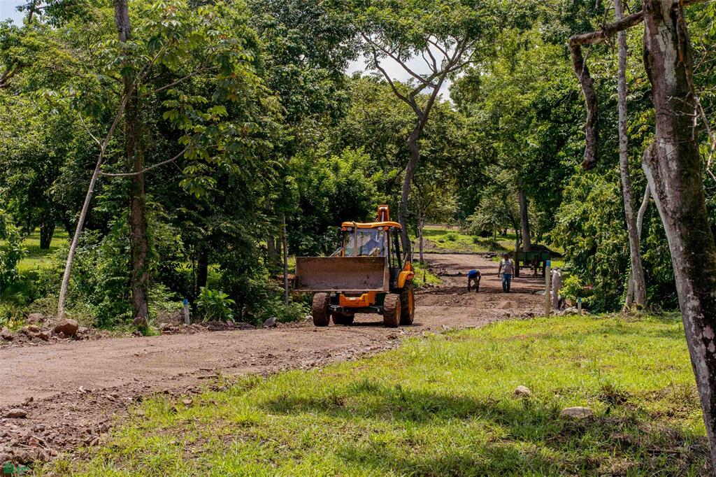 Premium Lot Inside Nature