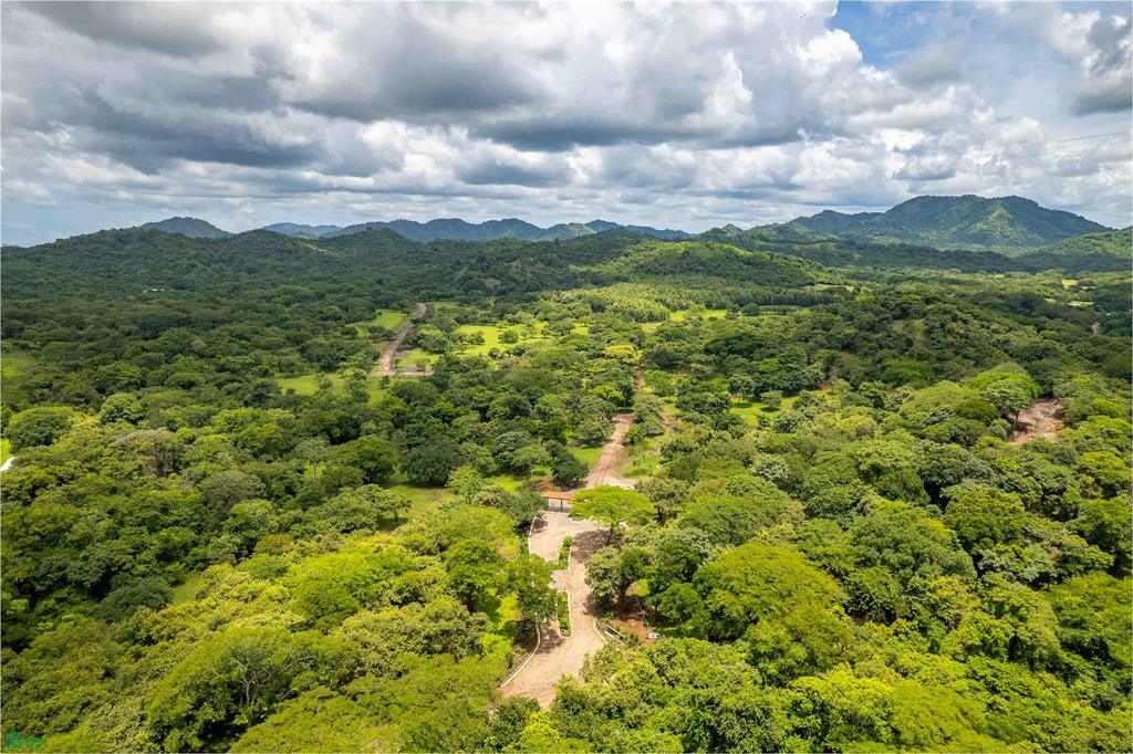 Premium Lot Inside Nature