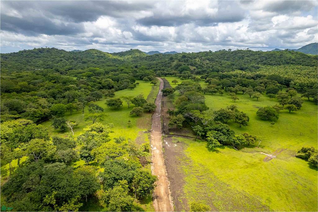 Prime Lot in a Serene Setting