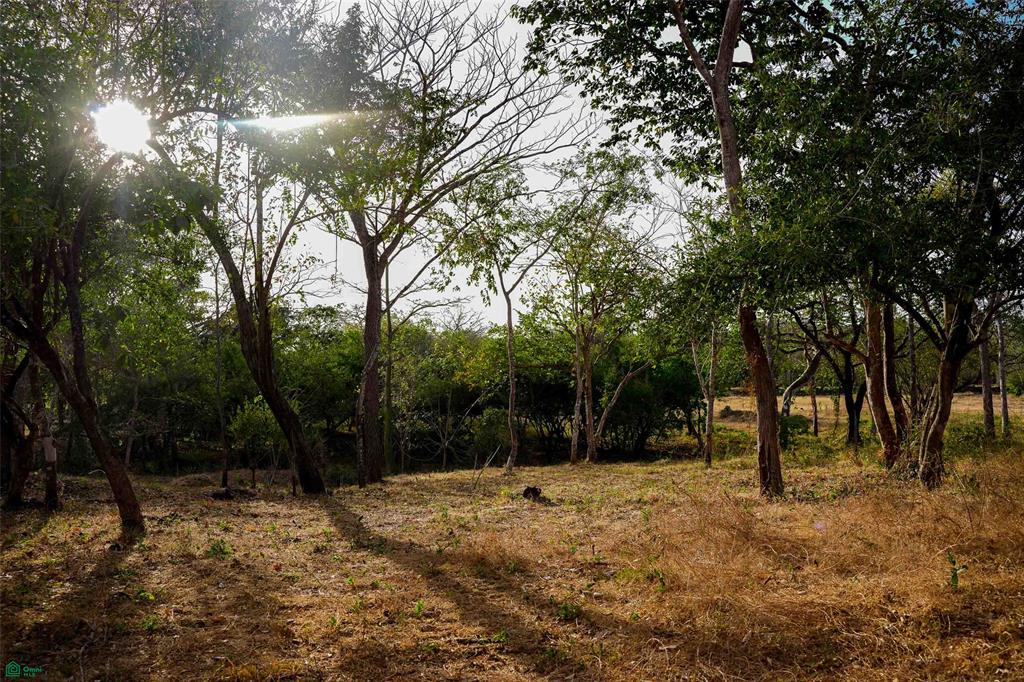 Prime Lot in a Serene Setting