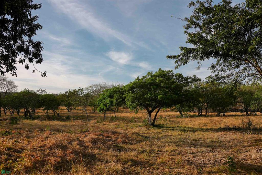 Prime Lot in a Serene Setting