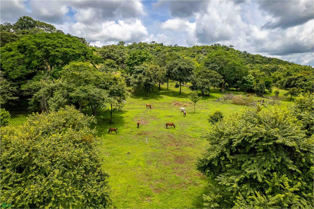 Prime Lot in a Serene Setting