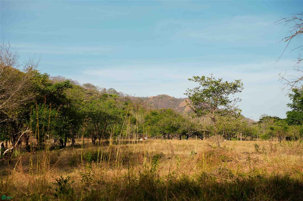 Prime Lot in a Serene Setting