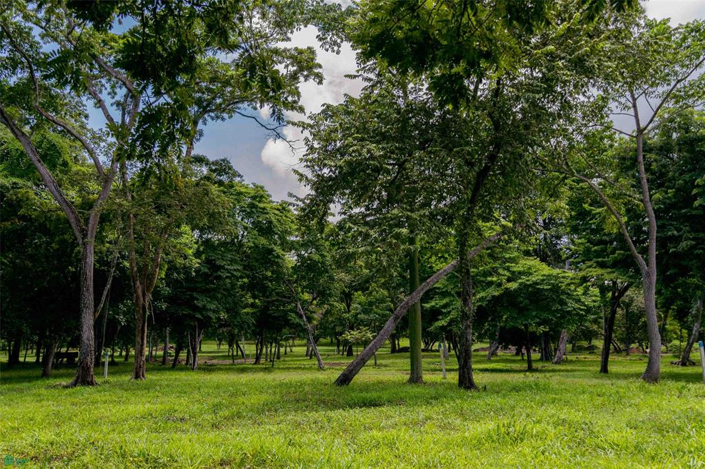 Exclusive Lot Surrounded by Nature