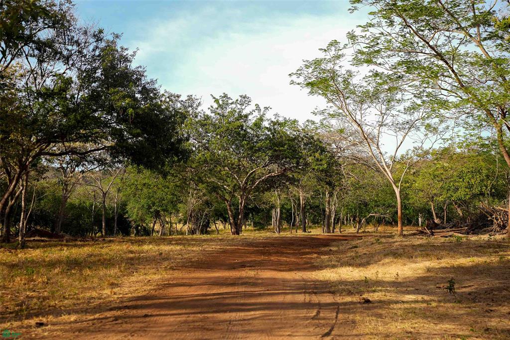 Exclusive Lot Surrounded by Nature