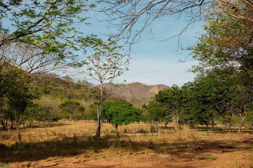 Exclusive Lot Surrounded by Nature