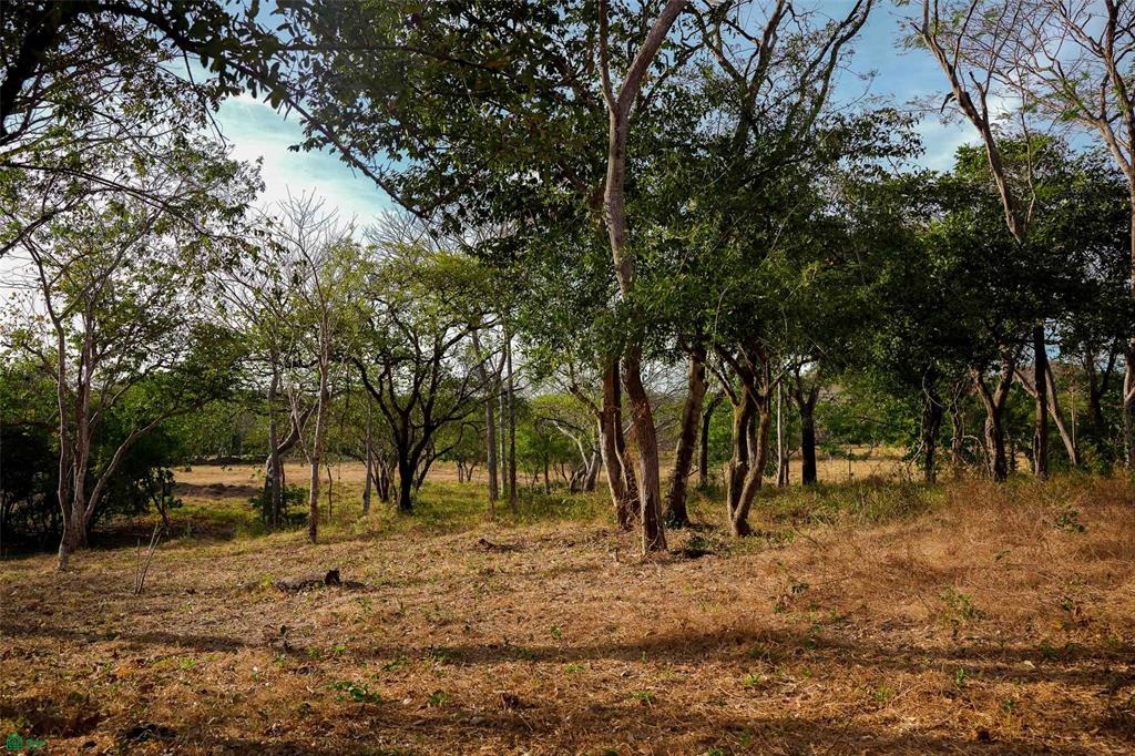 Premier Homesite in a Natural Haven