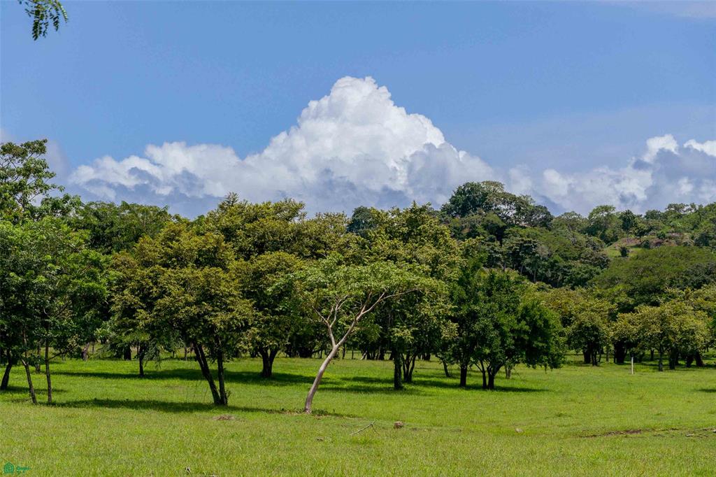 Premier Homesite in a Natural Haven