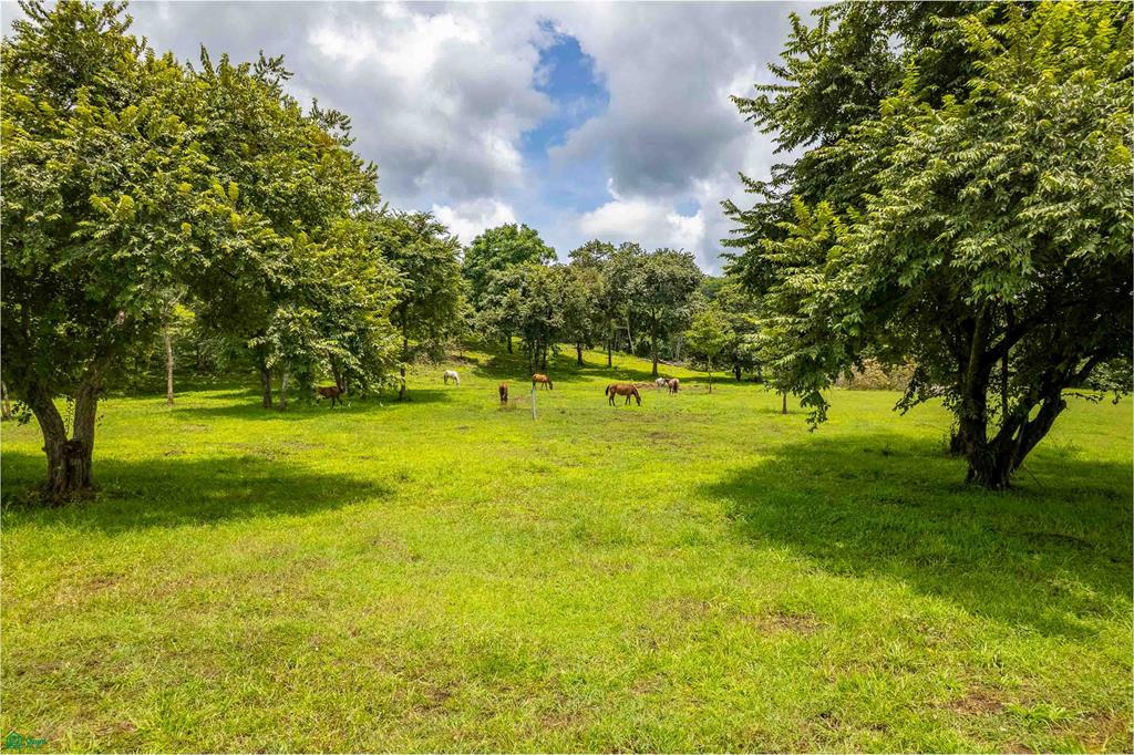 Premier Homesite in a Natural Haven