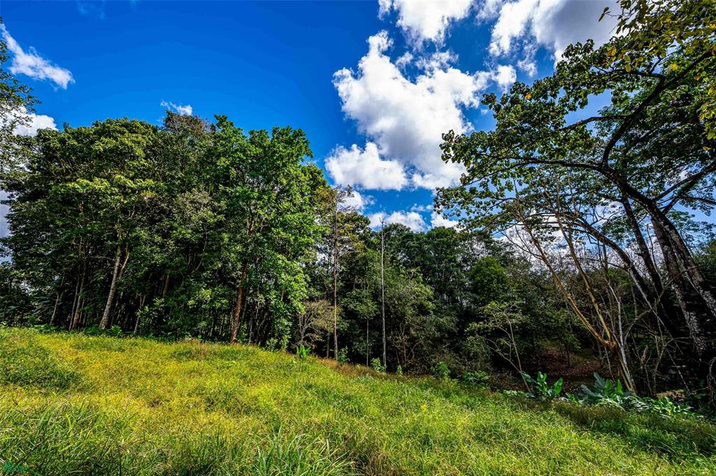 Prime Land With Private Lake