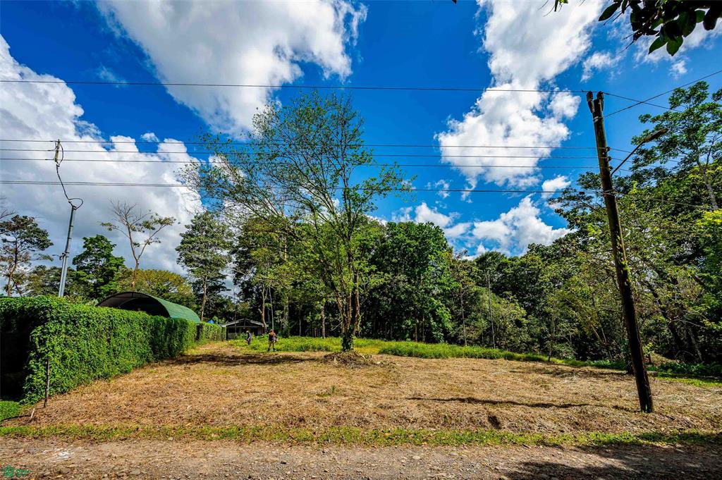 Prime Land With Private Lake