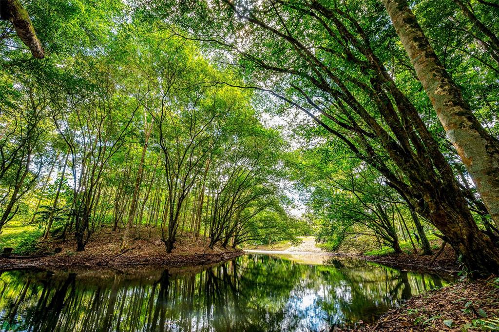 Prime Land With Private Lake