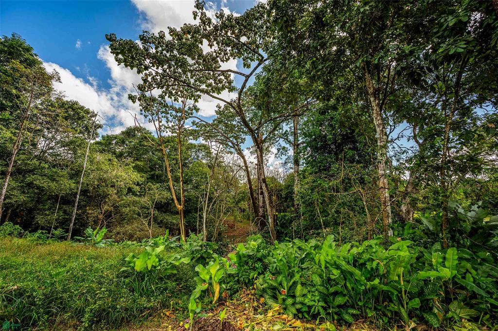 Prime Land With Private Lake