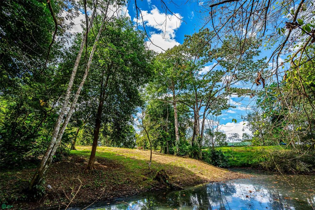 Prime Land With Private Lake