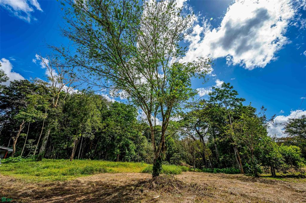 Prime Land With Private Lake