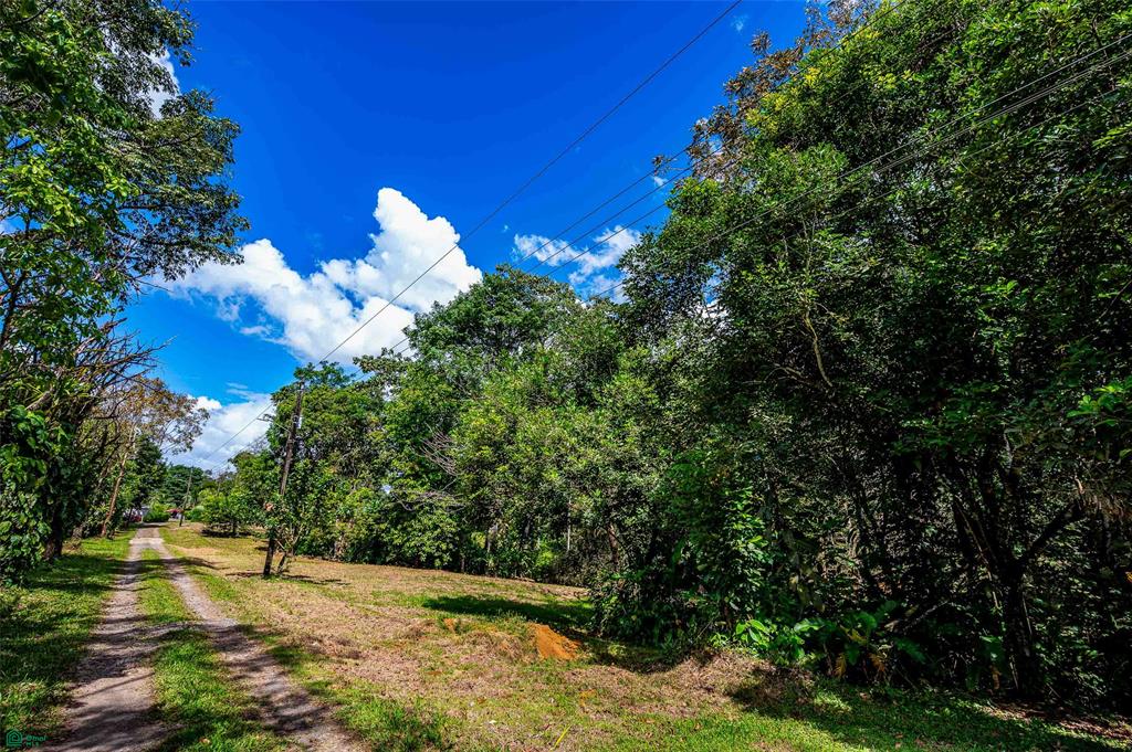 Prime Land With Private Lake
