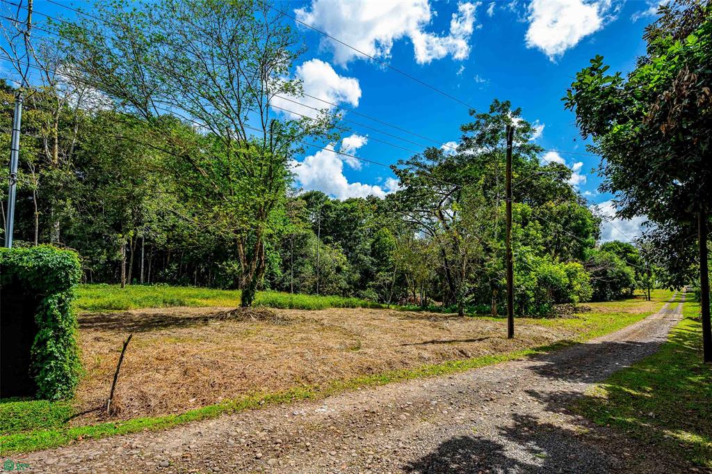 Prime Land With Private Lake