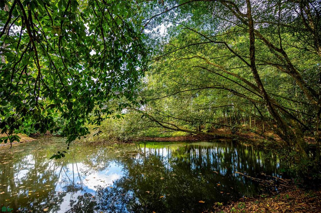 Prime Land With Private Lake