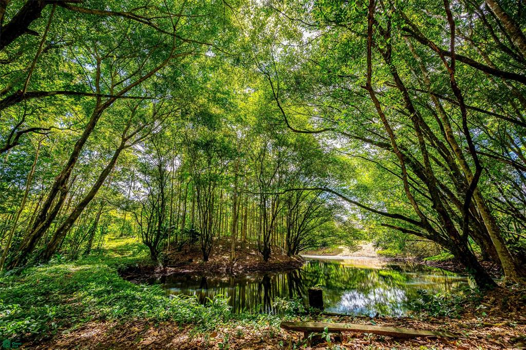 Prime Land With Private Lake